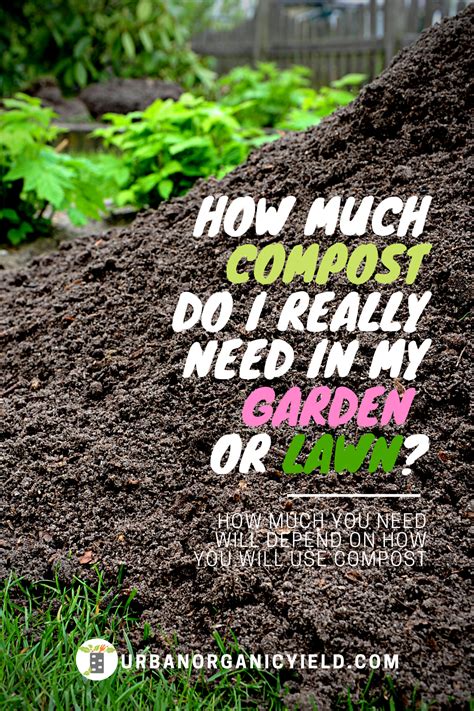 The Benefits of Composting in an Eco-Friendly Home: Turning Waste into Fertilizer