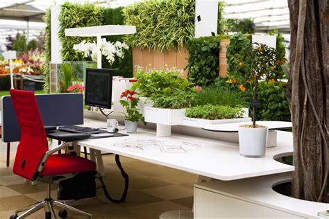 Eco-Friendly Home Office Ideas: Creating a Sustainable Workspace