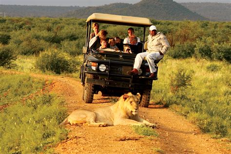 Where can I experience the most thrilling wildlife safaris?