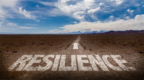 How to Build Resilience in the Face of Adversity
