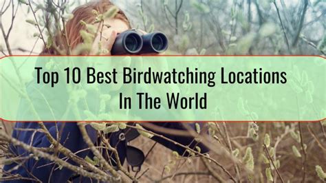 Where can I find the best locations for birdwatching and
